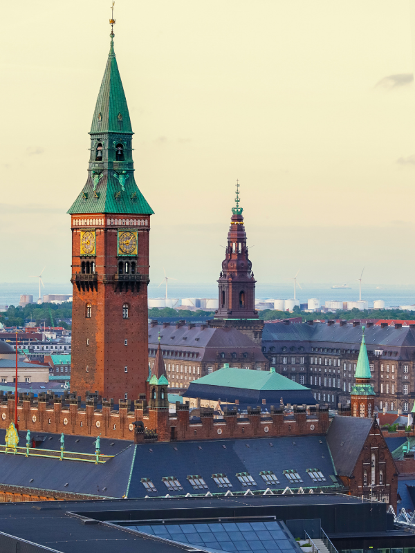 Denmark Visa Services